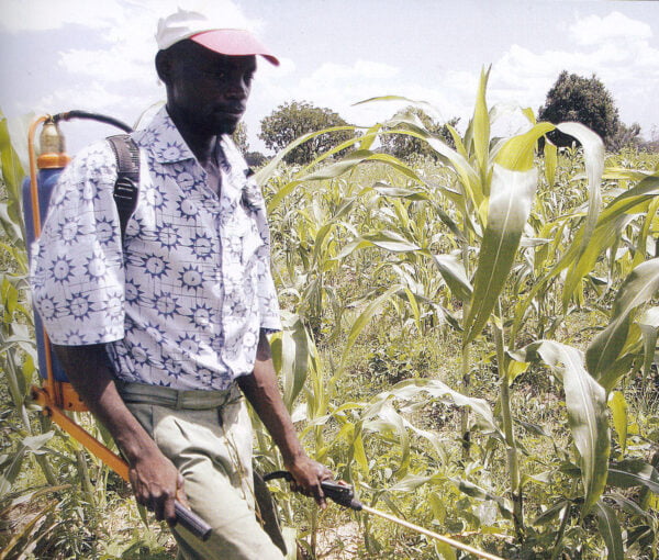 Man spreading insecticide. Agricultural development was a key priority for the Mu'azu administraion. Image by The African Magazine's photographer Arsene Kassegne.