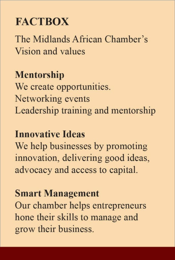 Factbox for The Midlands African Chamber, Inc.