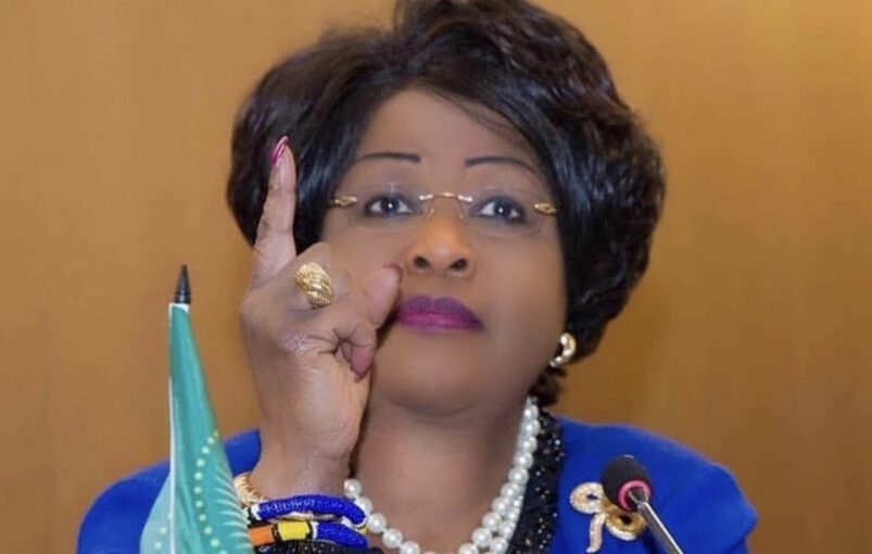 Ambassador Arikana Chihombori image - Copy