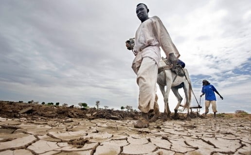 An indication of the dire consequence of the climate crisis on African countries