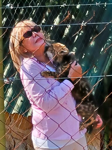 Cheetahs come to love Lente