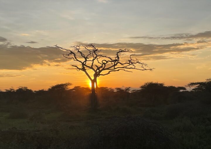 A beaugiful sunset in Tanzania