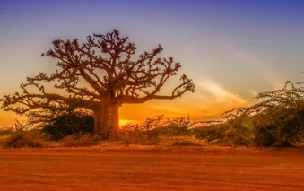 Sunrise in Senegal