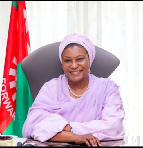 Senator Ireti Kingibe, Credit X: @Iretikingibe