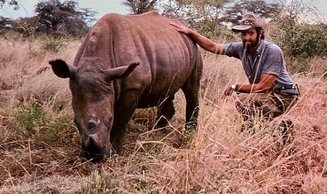 Professor Jeff Fadiman pets a buffalo while on a safari in Africa.