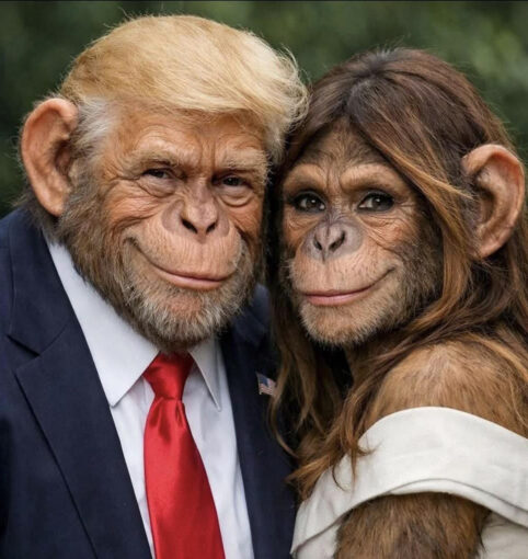 Tit for tat! One of several memes of Donald and Melania Trump created by pro-Obama citizens following the Trump’s meme