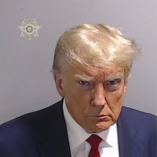 Donald Trump's mug shot when he surrendered in Georgia election indictment.